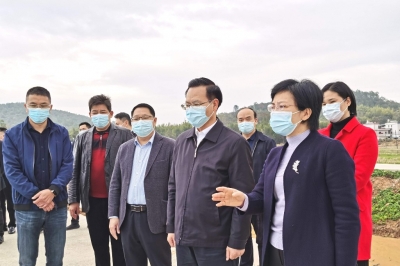 曾永祥到兴宁市调研乡村振兴工作并开展慰问活动：发挥组团帮扶优势 推进乡村全面振兴