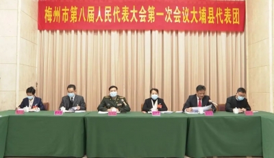 梅州市八届人大一次会议大埔县代表团审议政府工作报告