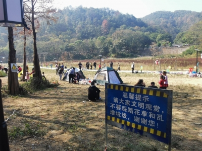 无视警示踩踏草地、靠近水域玩耍…元旦假期，这些行为不文明！