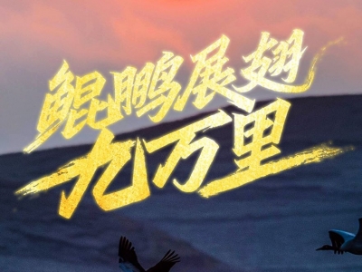 鲲鹏展翅九万里——以习近平同志为核心的党中央引领中华民族迈向伟大复兴述评
