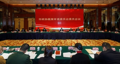 市政协八届一次会议提案审查委员会召开会议：确定188件提案予以立案