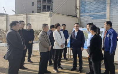 擦亮对外“窗口”！罗达祥调研丰顺城区环境提升工程