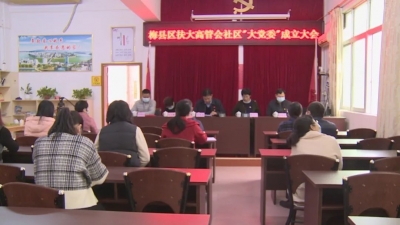梅县区扶大高新区扶大社区“大党委”成立