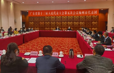 梅州代表团审议省政府工作报告，马正勇余其豹等参加审议