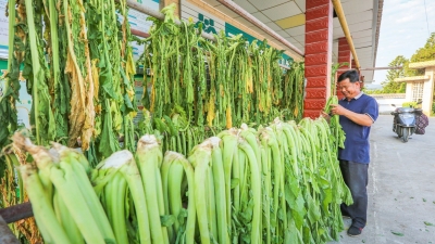 梅州日报社“新春走基层”走进梅县区石扇镇松林村——大力发展石扇咸菜特色产业 “腌”出乡村振兴新路子