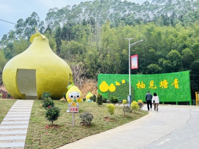周末新去处！塘青村小公园“柚见塘青 柚有新景”