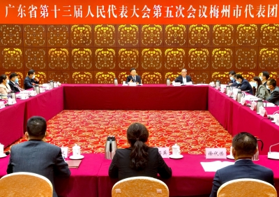 梅州团继续召开代表团会议，马正勇余其豹等参加审议