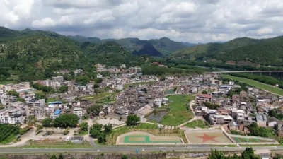 大埔部署2022年乡村振兴和农业农村工作