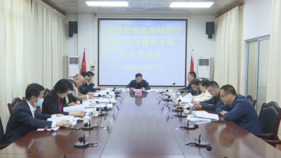 蕉岭县政府党组领导班子召开党史学习教育专题民主生活会