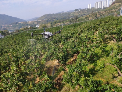 用无人机“玩转”农业圈！一场培训，为梅县区农民送上“科技大餐”...