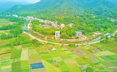 丰顺：打好产业发展组合拳 激活乡村振兴原动力！