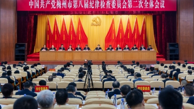 八届市纪委二次全会召开：坚持不懈把全面从严治党向纵深推进 