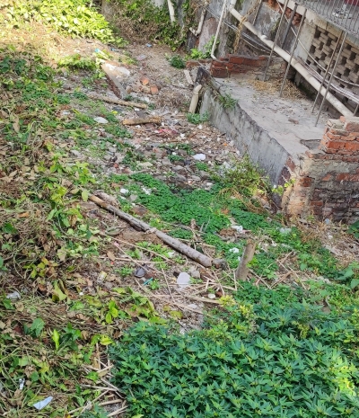 宿舍楼下竟是卫生死角！梅江区西郊村委回应：会尽快处理