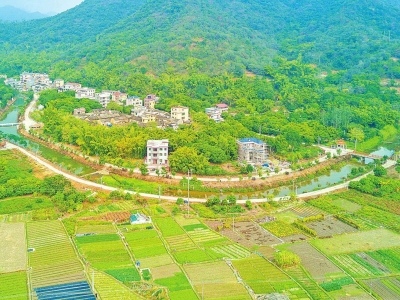 传好接力棒 启航新征程！丰顺县巩固拓展脱贫攻坚成果同乡村振兴有效衔接工作综述