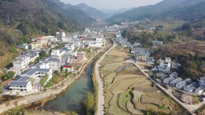 平远上举：党建引领 全面促进乡村振兴