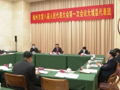 梅州市八届人大一次会议大埔县代表团热议政府工作报告