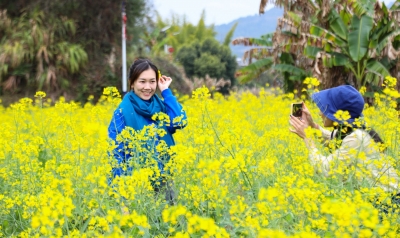 春暖寿乡花先知！蕉岭一步一景“醉”游人
