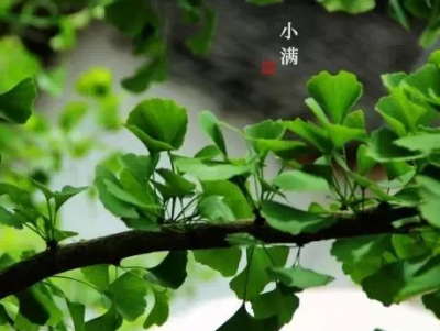 今天10时15分，迎来小满节气