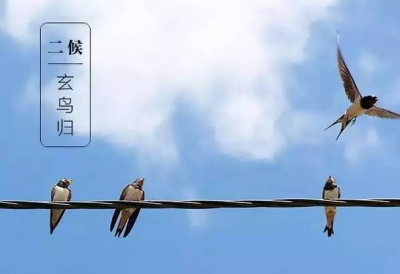 今日白露 | 露从今夜白，月是故乡明 