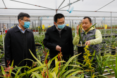 陈金銮到梅江区城北镇调研乡村振兴工作