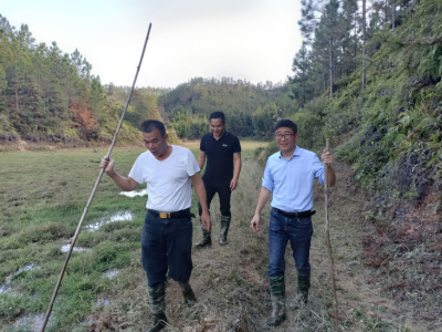 五华县梅林镇乡村振兴驻镇帮扶工作队队长王永锋：坚定目标任务 共建美丽乡村