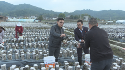 超220万元！蕉岭广福镇驻镇帮镇扶村工作队倾心“带货”，助力农户“保产增收”