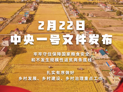重磅！2022年中央一号文件发布