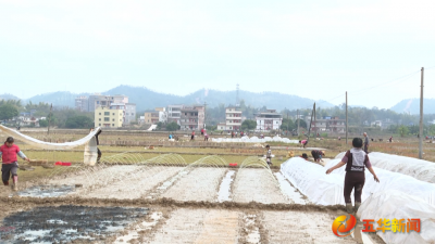 春耕备耕“忙起来”！不负农时，不负春！