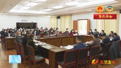政协委员分组热议三个工作报告：凝心聚力共谋五华苏区振兴发展