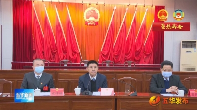 出席五华县十六届人大二次会议的人大代表开展分组讨论