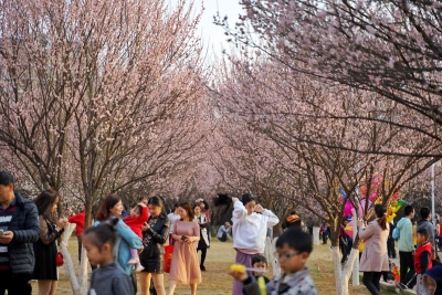 梅江周末·凌风