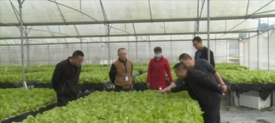 丰顺县农业农村局：多措并举护航春耕备耕