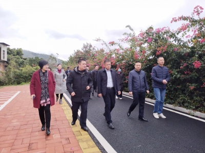 崔毅到梅江区调研工作：提升乡村振兴和文明城市创建水平