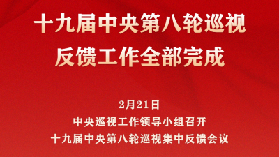十九届中央第八轮巡视反馈工作全部完成