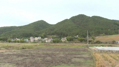 平远：齐心协力 共谋新年乡村振兴新篇章