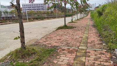 民生追踪丨违规占道共享单车已搬离