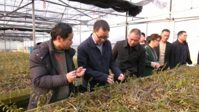 周小勇到八尺镇调研