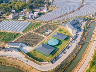 推进诚信建设梅州在行动丨汉光超顺农业公司精耕农产品质量保证优质服务