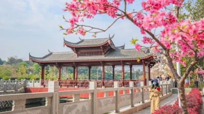 蕉岭县人大：充分发挥职能作用，为助力乡村振兴献计出力