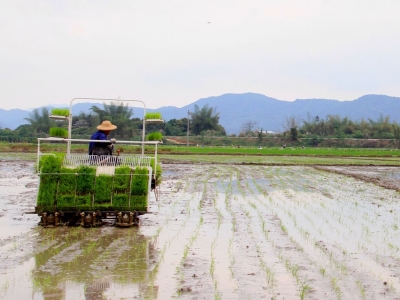 蕉岭县追着春光赶农时，奏响田间“春耕曲” ！