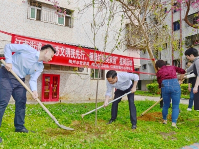 300株梅花树“加载”中！梅江区这些老旧小区“颜值”大提升→
