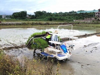 春耕生产也可以“托管”啦！五华“粤农服”小程序让春耕生产工作更高效便捷