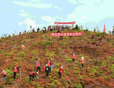 平远：干群齐动手 植树添绿建设美好家园