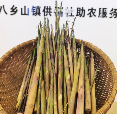  苦笋种出“甜”日子！