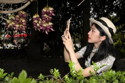 “禾雀精灵”来了！