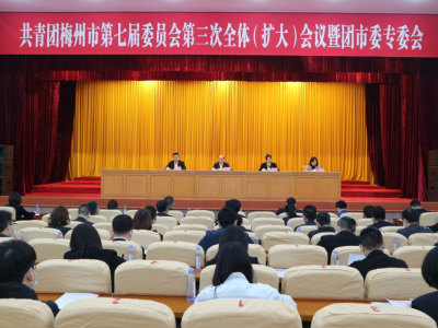 共青团梅州市第七届委员会第三次全体（扩大）会议召开