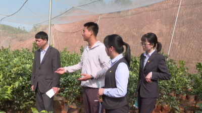 平远农行金融活水“贷”动春耕备耕