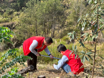 “植”此青绿！梅县区石扇镇开展2022年义务植树活动