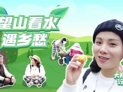 春天的梅州，藏着让人泪目的“果树密码”