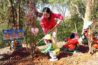 近百个亲子家庭在兴宁神光山开展植树活动，一起种下“绿色希望”！